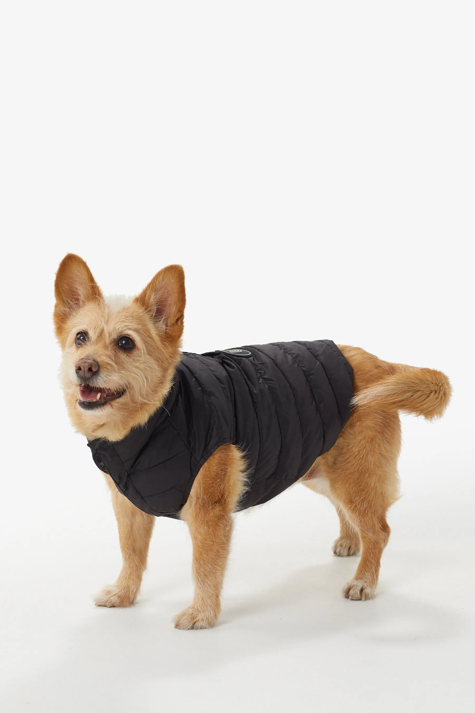 Ellie Dog Jacket