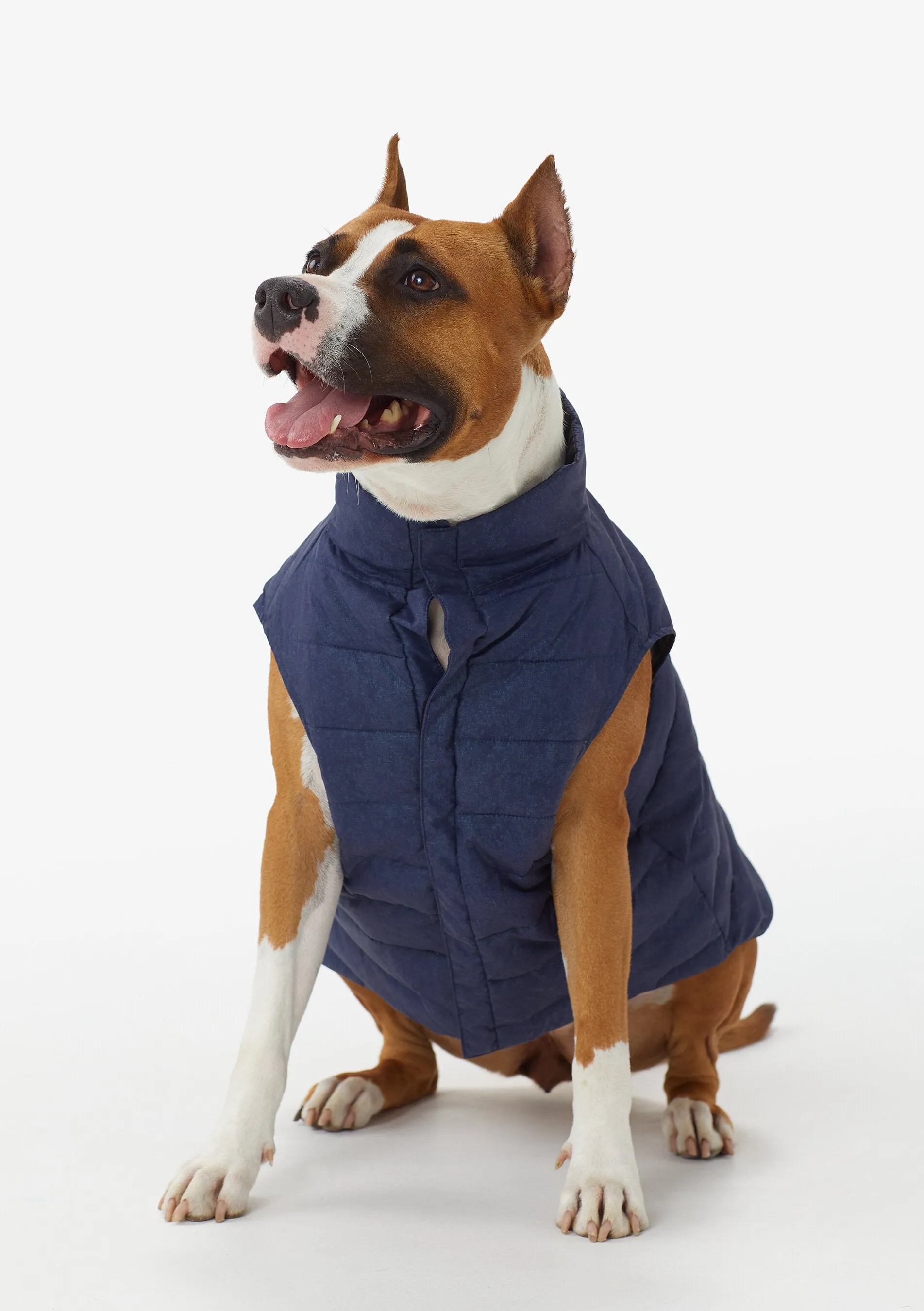 Ellie Dog Jacket
