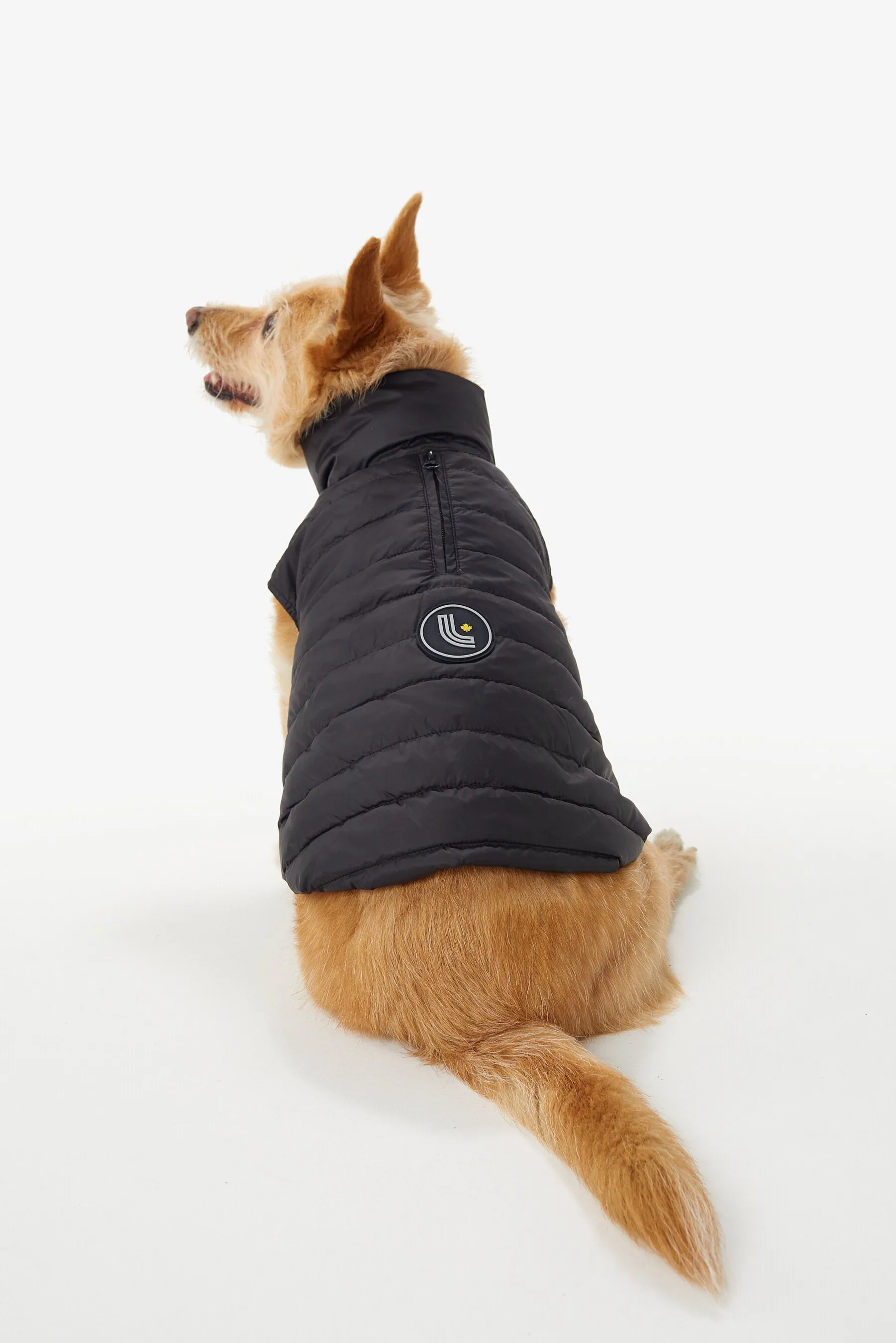 Ellie Dog Jacket