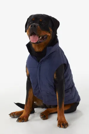 Ellie Dog Jacket