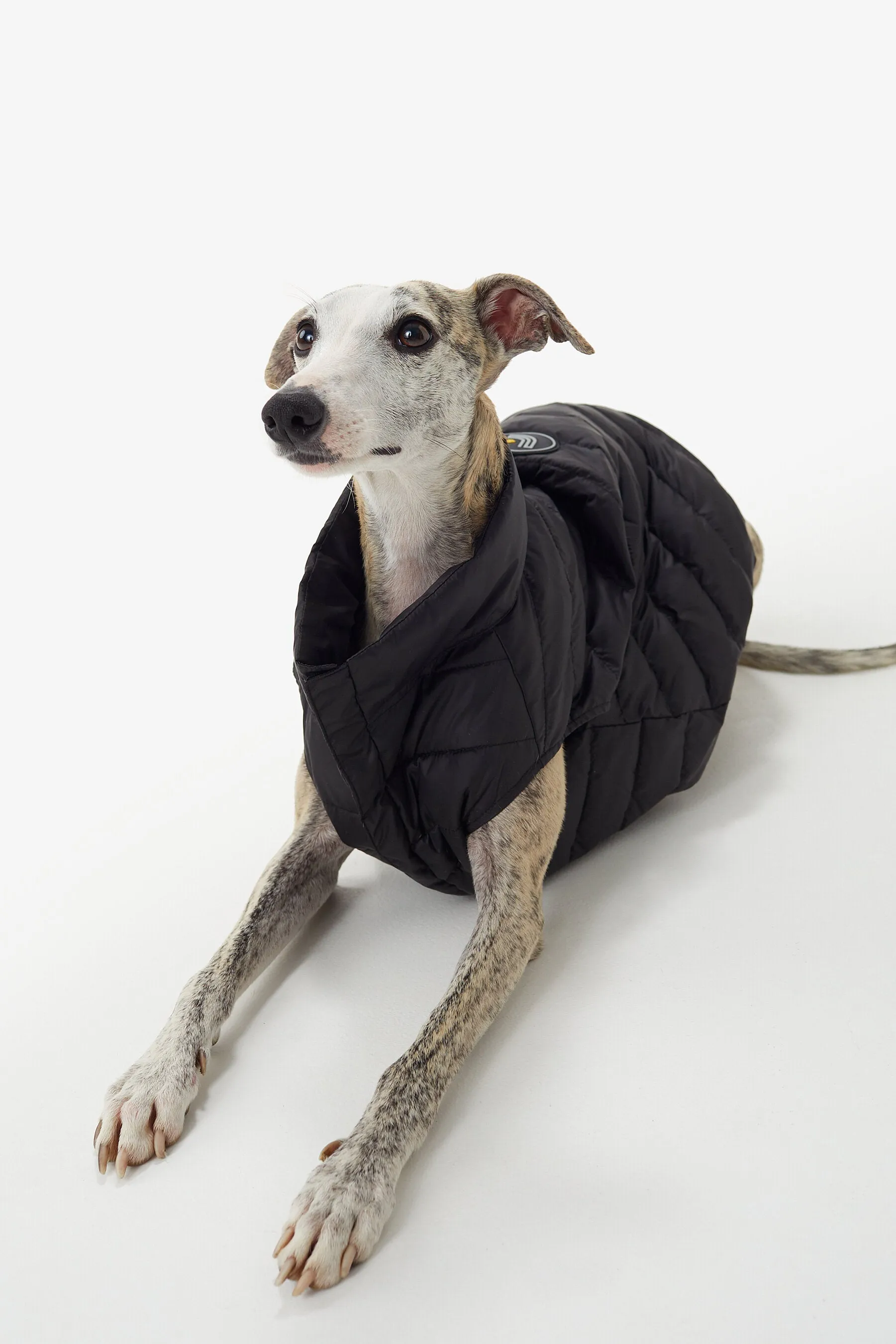 Ellie Dog Jacket