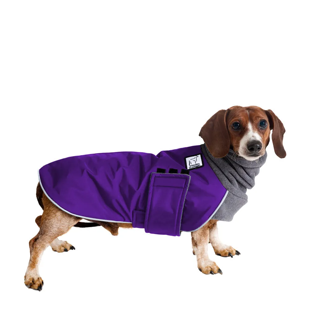 Miniature Dachshund Winter Coat